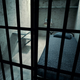 Illustration for article titled Inmate Walks Free After Emailing Release Instructions to Prison Staff